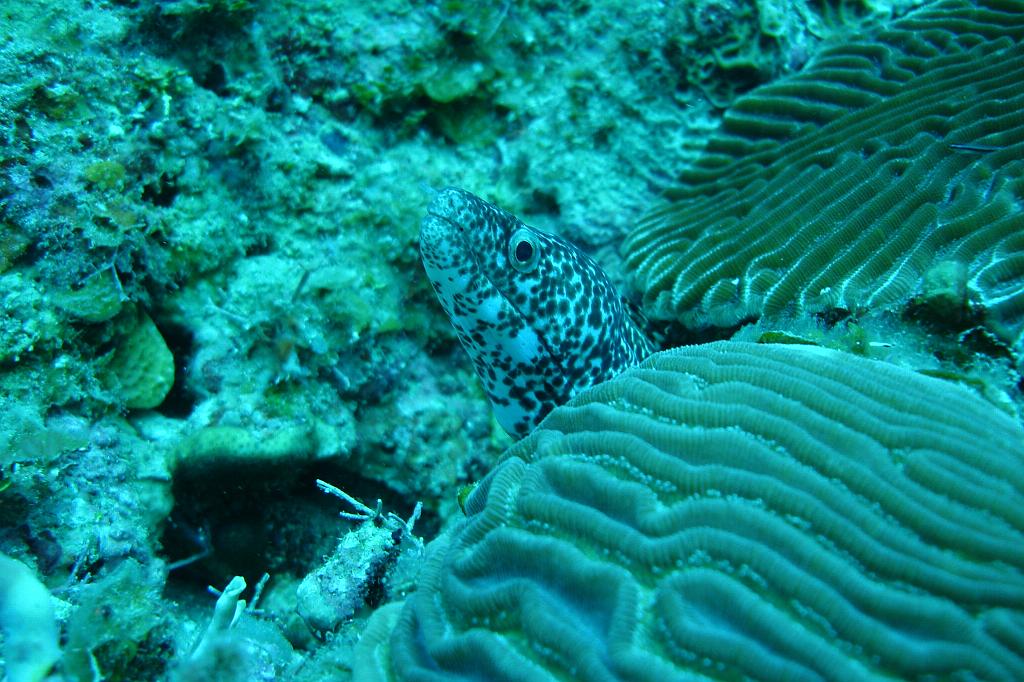 2008-05-10 14-41-33.JPG